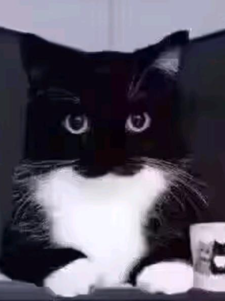 稗子