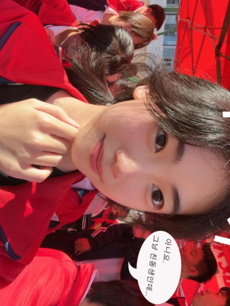 港岛无雪