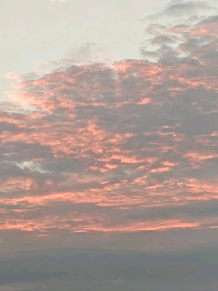 小怡
