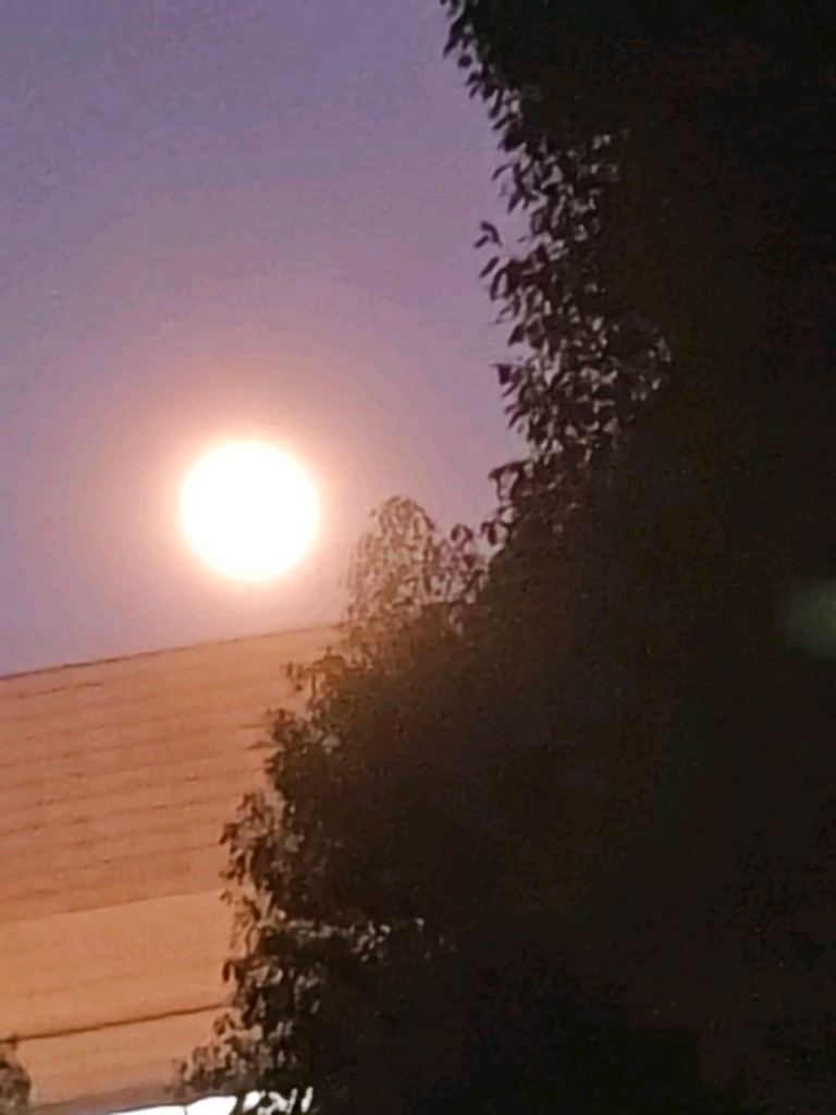 晴天