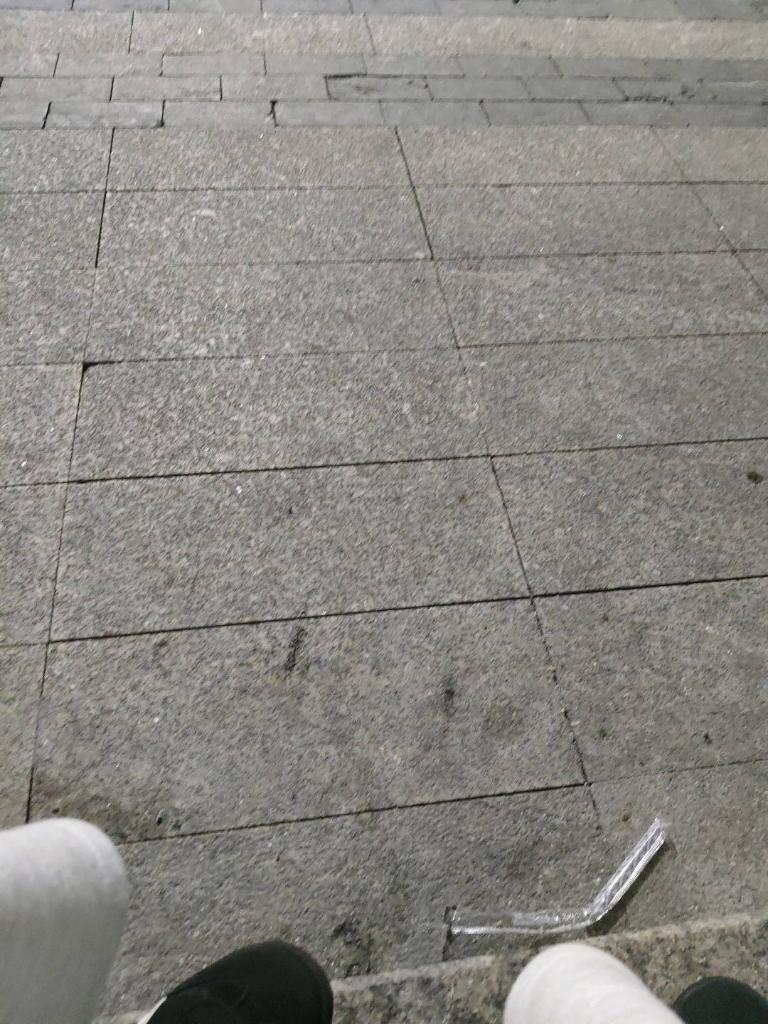 猜猜我是谁