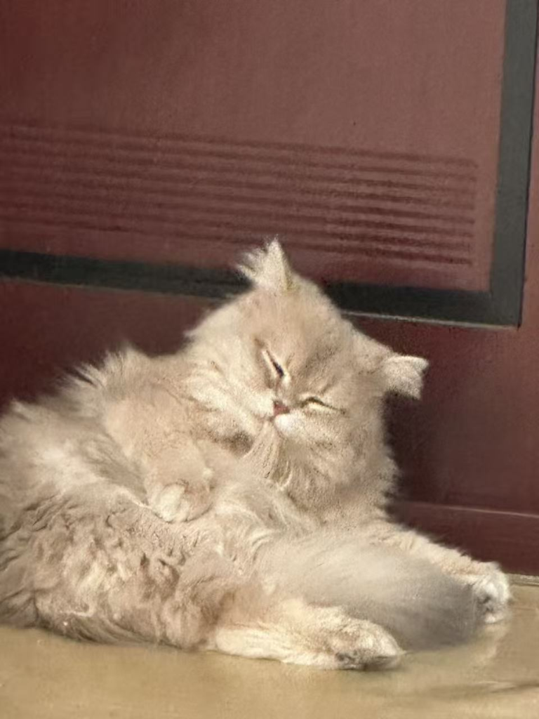 有钱