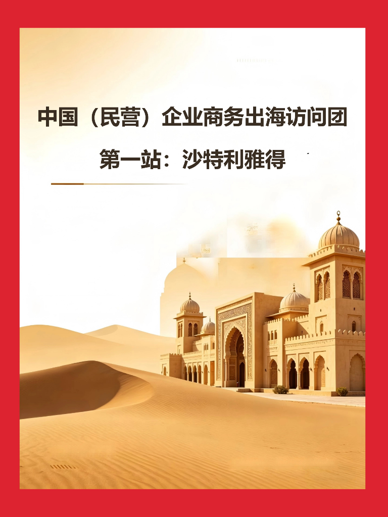 中国（民营）企业商务出海访问团