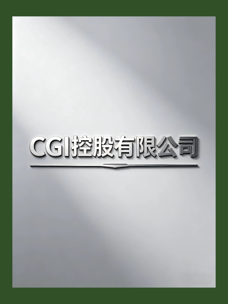 CGI控股有限公司