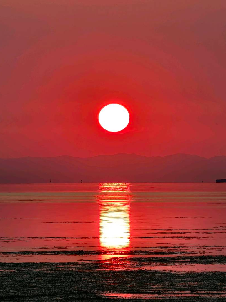 蒋导